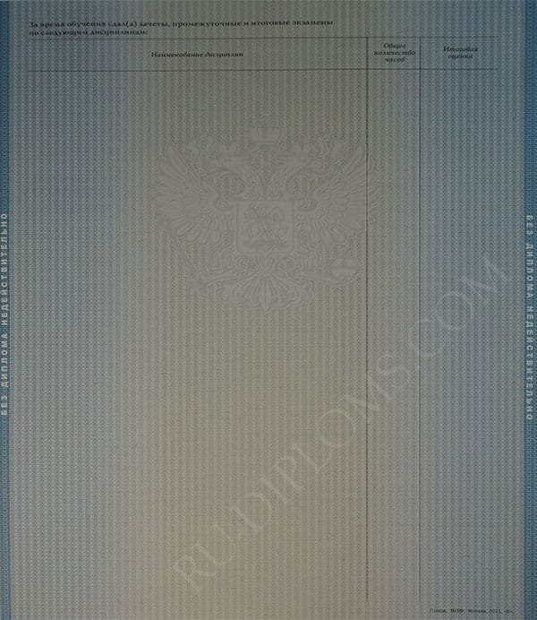 Диплом магистра 2010-2013 год Диплом магистра 2010-2013 год